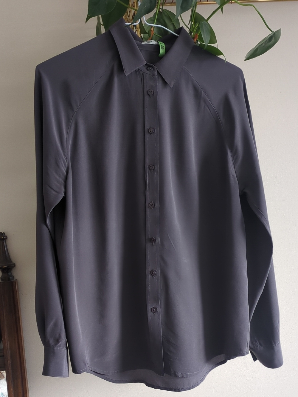 Everlane Grey 100% Silk Point Collar Shirt